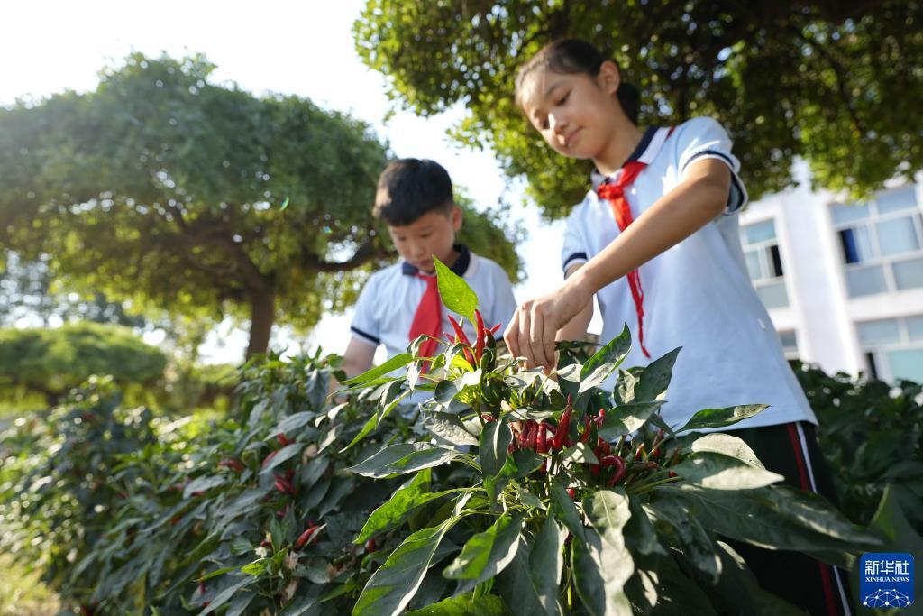 奔驰37370快速充值
